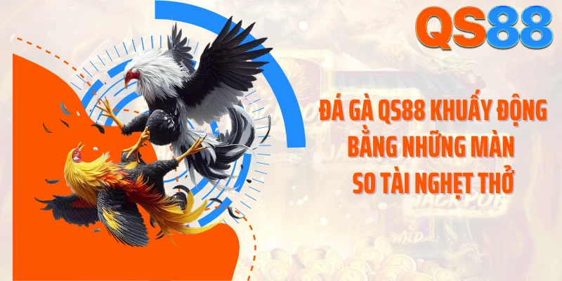 Đá gà QS88 khuấy động bằng những màn so tài nghẹt thở